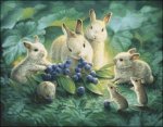 (image for) Small Blueberry Lunch